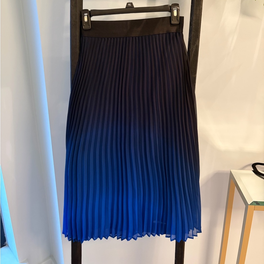 Express Black and Blue A-Line Skirt